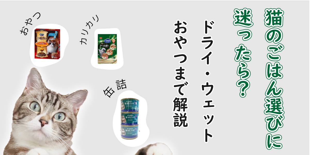 猫のごはん・おやつ選びに迷ったら？ドライ・ウェット・おやつまで解説